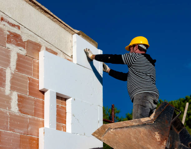 Best Energy-efficient Insulation  in Hendersonville, NC
