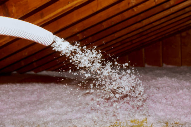 Best Garage Insulation Installation  in Hendersonville, NC