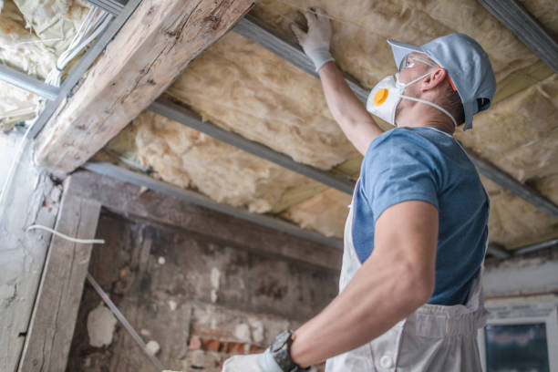 Best Crawl Space Insulation  in Hendersonville, NC