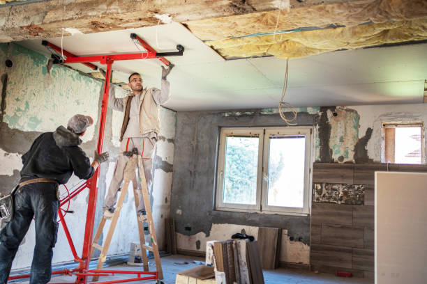 Best Home Insulation Services  in Hendersonville, NC