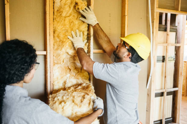 Best Spray Foam Insulation  in Hendersonville, NC