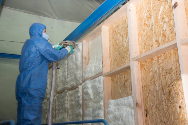Best Residential Insulation Services  in Hendersonville, NC