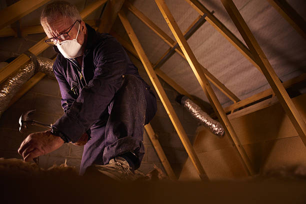 Best Fiberglass Insulation  in Hendersonville, NC
