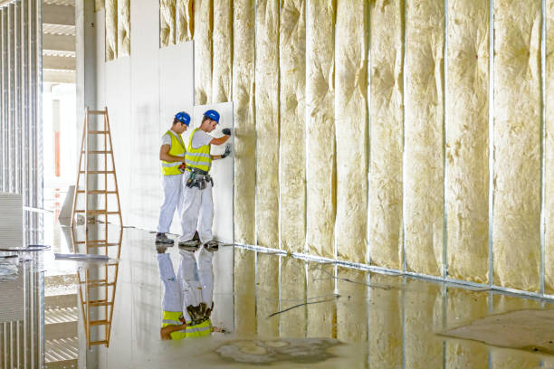 Best Spray Foam Insulation  in Hendersonville, NC